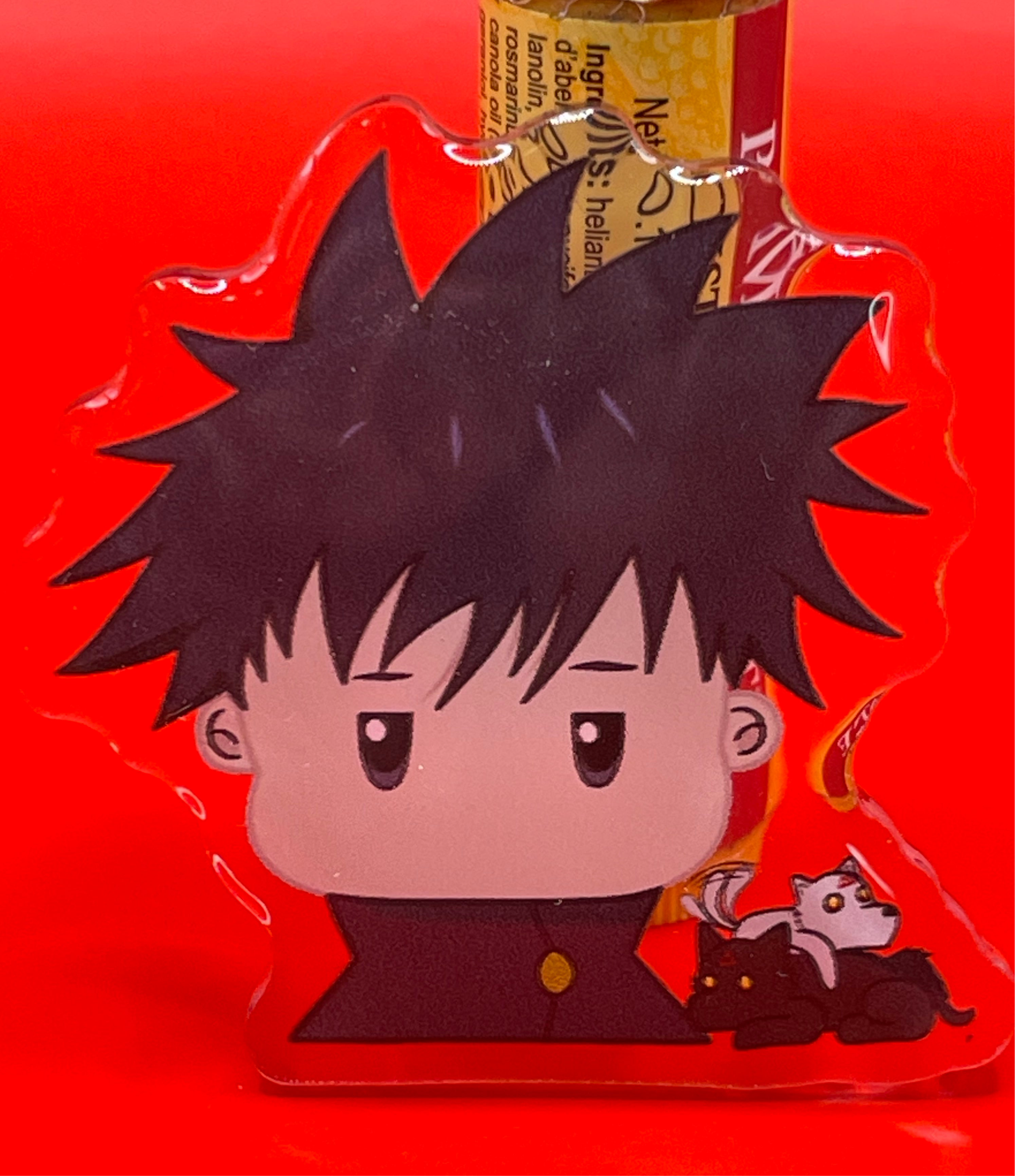 Megumi Fushiguro Pin